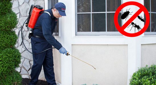 Alpu Bit İlaçlama böcek ilaçlama ve haşere kontrolü — ilaclama-tr.com